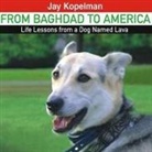 Jay Kopelman, Christopher Lane - From Baghdad to America: Life Lessons from a Dog Named Lava (Audio book)