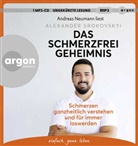Alexander Srokovskyi, Andreas Neumann - Das Schmerzfrei-Geheimnis, 1 Audio-CD, 1 MP3 (Audio book)