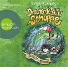 Katja Brandis, Fréderic Bertrand, Stefan Kaminski - Drachendetektiv Schuppe - Algensuppe und Nixenspucke, 2 Audio-CD (Hörbuch)