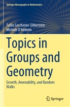 Tullio Ceccherini-Silberstein, Michele D'Adderio - Topics in Groups and Geometry