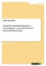 Steffen Baumüller - Staatliche Kapitalbeteiligung an Unternehmen - ein Instrument der Wirtschaftsförderung?