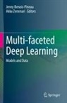 Jenny Benois-Pineau, Zemmari, Akka Zemmari - Multi-faceted Deep Learning