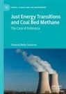Theresia Betty Sumarno - Just Energy Transitions and Coal Bed Methane