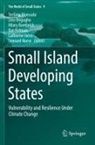 Hilary Bambrick, Hilary Bambrick et al, Lino Briguglio, Catherine Iorns, Ilan Kelman, Stefano Moncada... - Small Island Developing States