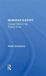 Robert Springborg, Springborg Robert - Mubarak''s Egypt