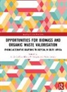 Linda Goergens Godfrey, Linda Gorgens Godfrey, Linda Roman Godfrey, Linda Godfrey, Godfrey Linda, Johann F. Görgens... - Opportunities for Biomass and Organic Waste Valorisation