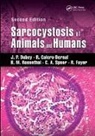 R. Calero-Bernal, Calero-Bernal R., J. P. Dubey, J. P. Calero-Bernal Dubey, Dubey J. P., R. Fayer... - Sarcocystosis of Animals and Humans