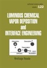 Hirotsugu Yasuda, Yasuda Hirotsugu - Luminous Chemical Vapor Deposition and Interface Engineering