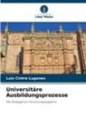 Luis Cintra Lugones - Universitäre Ausbildungsprozesse