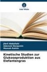 Jibril Abdullahi, Aderemi Benjamin, Momoh Rahim - Kinetische Studien zur Glukoseproduktion aus Elefantengras