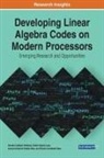 Sandra Catalán Pallarés, Leonel Antonio Toledo Díaz, Pedro Valero-Lara - Developing Linear Algebra Codes on Modern Processors