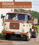 Michael Dünnebier - Skoda
