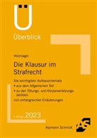 Sascha Holznagel - Die Klausur im Strafrecht