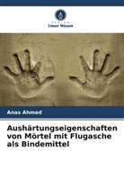 Anas Ahmed - Aushärtungseigenschaften von Mörtel mit Flugasche als Bindemittel