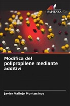 David Contreras López, José Amir González Calderón, Javier Vallejo Montesinos - Modifica del polipropilene mediante additivi