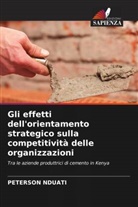 PETERSON NDUATI - Gli effetti dell'orientamento strategico sulla competitività delle organizzazioni