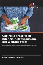 EMIL ZAHRIN HAJI ALI - Capire la crescita di bilancio nell'espansione del Welfare State