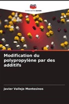 David Contreras López, José Amir González Calderón, Javier Vallejo Montesinos - Modification du polypropylène par des additifs