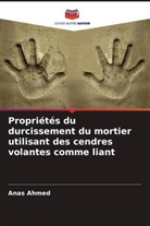 Anas Ahmed - Propriétés du durcissement du mortier utilisant des cendres volantes comme liant