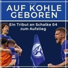Tom Volz - Auf Kohle geboren