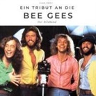Frank Müller - Ein Tribut an die Bee Gees