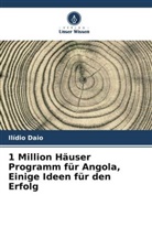 Ilídio Daio - 1 Million Häuser Programm für Angola, Einige Ideen für den Erfolg