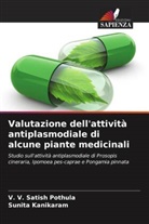SUNITA KANIKARAM, V. V. Satish Pothula - Valutazione dell'attività antiplasmodiale di alcune piante medicinali