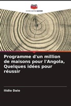 Ilídio Daio - Programme d'un million de maisons pour l'Angola, Quelques idées pour réussir