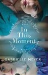 Gabrielle Meyer - In This Moment