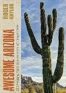 Roger Naylor - Awesome Arizona