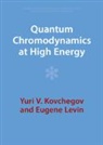 Yuri V. Kovchegov, Yuri V. (Ohio State University) Kovchegov, Yuri V. (Ohio State University) Levin Kovchegov, Kovchegov Yuri V., Eugene Levin, Eugene (Tel-Aviv University) Levin... - Quantum Chromodynamics At High Energy