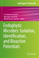 N. Amaresan, Natarajan Amaresan, Mitesh Kumar Dwivedi, Mitesh Kumar Dwivedi, A. Sankaranarayanan - Endophytic Microbes: Isolation, Identification, and Bioactive Potentials