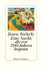 János Székely - Eine Nacht, die vor 700 Jahren begann