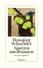 Hansjörg Schneider - Spatzen am Brunnen