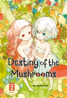 Kei Murayama - Destiny of the Mushrooms