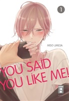 Miso Umeda - You Said You Like Me! 01