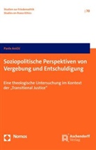 Pavle Anicic, Pavle Anii - Soziopolitische Perspektiven von Vergebung und Entschuldigung