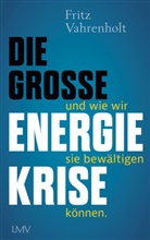 Fritz Vahrenholt - Die große Energiekrise