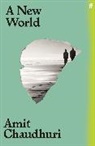 Amit Chaudhuri - A New World