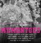 Amy J. Schultz - Mumentous