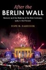 Hope M. Harrison, Hope M. (George Washington University Harrison, Harrison Hope M. - After the Berlin Wall