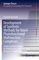 Yasuomi Yamazaki - Development of Synthetic Methods for Novel Photofunctional Multinuclear Complexes