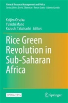 Yukichi Mano, Keijiro Otsuka, Kazushi Takahashi - Rice Green Revolution in Sub-Saharan Africa