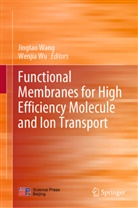 Jingtao Wang, Wu, Wenjia Wu - Functional Membranes for High Efficiency Molecule and Ion Transport