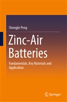 Shengjie Peng - Zinc-Air Batteries