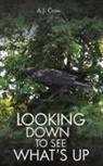 A J Crow, A. J. Crow - Looking Down to See What's Up