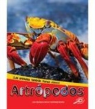 Lisa Colozza Cocca - Artrópodos: Arthropods