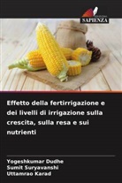 Yogeshkumar Dudhe, Uttamrao Karad, Sumit Suryavanshi - Effetto della fertirrigazione e dei livelli di irrigazione sulla crescita, sulla resa e sui nutrienti