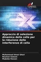 Muhammad Umair Ghori, Mujtaba Hassan, Nouman Saleem - Approccio di selezione dinamica delle celle per la riduzione delle interferenze di cella