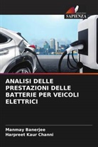 Manmay Banerjee, Harpreet Kaur Channi - ANALISI DELLE PRESTAZIONI DELLE BATTERIE PER VEICOLI ELETTRICI